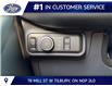 2026 Ford Explorer Tremor (Stk: LFEX02004) in Tilbury - Image 9 of 15