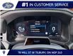 2026 Ford Explorer Tremor (Stk: LFEX02004) in Tilbury - Image 10 of 15