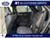 2026 Ford Explorer Tremor (Stk: LFEX02004) in Tilbury - Image 15 of 15