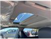 2026 Toyota Highlander Hybrid XLE (Stk: S723371) in Cranbrook - Image 14 of 20