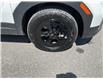 2025 Hyundai Santa Fe XRT (Stk: 260750) in Ottawa - Image 11 of 34