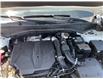 2025 Hyundai Santa Fe XRT (Stk: 260750) in Ottawa - Image 33 of 34