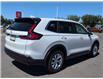 2026 Honda CR-V LX (Stk: 4304) in Lethbridge - Image 3 of 22