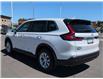2026 Honda CR-V LX (Stk: 4304) in Lethbridge - Image 5 of 22