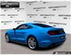 2017 Ford Mustang EcoBoost Premium (Stk: 6BR8156B) in Brantford - Image 4 of 22