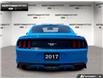 2017 Ford Mustang EcoBoost Premium (Stk: 6BR8156B) in Brantford - Image 5 of 22