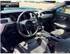2017 Ford Mustang EcoBoost Premium (Stk: 6BR8156B) in Brantford - Image 11 of 22