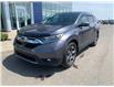 2019 Honda CR-V EX-L (Stk: 33109A) in Thunder Bay - Image 1 of 12