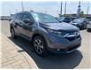 2019 Honda CR-V EX-L (Stk: 33109A) in Thunder Bay - Image 3 of 12