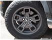 2024 Ford Bronco Sport Big Bend (Stk: 6357A) in St. Thomas - Image 6 of 27