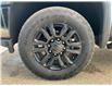 2021 GMC Sierra 3500HD Denali (Stk: 10515P) in Vermilion - Image 23 of 23