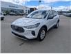 2025 Ford Escape Active (Stk: SK-278A) in Calgary - Image 1 of 25