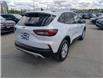 2025 Ford Escape Active (Stk: SK-278A) in Calgary - Image 8 of 25