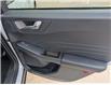 2025 Ford Escape Active (Stk: SK-278A) in Calgary - Image 15 of 25