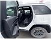 2017 Jeep Grand Cherokee Trailhawk (Stk: X373303A) in Cranbrook - Image 13 of 20