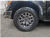 2026 Ford F-150 Tremor (Stk: 17173) in Wyoming - Image 9 of 15