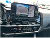 2024 Nissan Pathfinder SL (Stk: 25173B) in Moosomin - Image 15 of 19