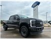 2026 Ford F-350 Platinum (Stk: T95633) in Hague - Image 2 of 14