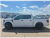 2026 Ford F-150 STX (Stk: T33750) in Hague - Image 5 of 15