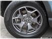 2024 Ford Bronco Sport Badlands (Stk: P6850) in London - Image 6 of 27
