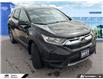 2017 Honda CR-V LX (Stk: 6128A) in Tecumseh - Image 4 of 26