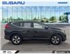2017 Honda CR-V LX (Stk: 6128A) in Tecumseh - Image 6 of 26