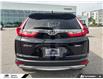 2017 Honda CR-V LX (Stk: 6128A) in Tecumseh - Image 8 of 26