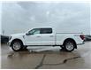 2026 Ford F-150 Lariat (Stk: T81059) in Hague - Image 5 of 14