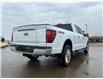 2026 Ford F-150 Lariat (Stk: T81059) in Hague - Image 8 of 14