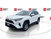 2025 Toyota RAV4 Hybrid LE (Stk: 12108699A) in Concord - Image 5 of 41