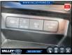 2025 Hyundai Santa Cruz Preferred (Stk: 26P067) in Kentville - Image 18 of 22