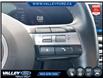 2025 Hyundai Santa Cruz Preferred (Stk: 26P067) in Kentville - Image 22 of 22