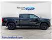 2024 GMC Sierra 1500 Elevation (Stk: 17145-1) in Wyoming - Image 8 of 15