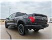 2026 Ford F-150 XLT (Stk: T07049) in Hague - Image 6 of 14 2026 Ford F-150 XLT (Stk: T07049) in Hague - Image 6 of 14