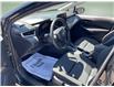 2023 Toyota Corolla Hybrid LE (Stk: 260699) in Ottawa - Image 24 of 34