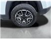 2024 Jeep Compass Trailhawk (Stk: 260564) in Ottawa - Image 2 of 34