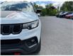 2024 Jeep Compass Trailhawk (Stk: 260564) in Ottawa - Image 21 of 34