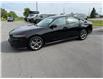 2023 Honda Accord EX (Stk: MI6123A) in BELLEVILLE - Image 1 of 16