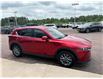 2022 Mazda CX-5 GS (Stk: 24888) in Pembroke - Image 8 of 21