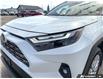 2025 Toyota RAV4 Limited (Stk: MFLQH025B) in Sault Ste. Marie - Image 8 of 25 2025 Toyota RAV4 Limited (Stk: MFLQH025B) in Sault Ste. Marie - Image 8 of 25