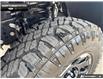 2026 Ford F-250 Platinum (Stk: 6F276560) in Brantford - Image 7 of 25