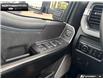 2026 Ford F-250 Platinum (Stk: 6F276560) in Brantford - Image 17 of 25