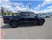 2024 Ford F-150 Tremor (Stk: T-825A) in Calgary - Image 8 of 25