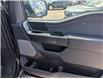 2024 Ford F-150 Tremor (Stk: T-825A) in Calgary - Image 11 of 25