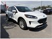 2021 Ford Escape SE (Stk: 7174) in Belleville - Image 6 of 14