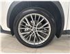 2024 Lexus NX 350 Base (Stk: 11U4508) in Markham - Image 14 of 30