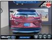 2019 Honda CR-V EX-L (Stk: 26026A) in Kentville - Image 3 of 23