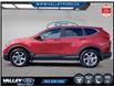 2019 Honda CR-V EX-L (Stk: 26026A) in Kentville - Image 5 of 23