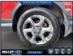 2019 Honda CR-V EX-L (Stk: 26026A) in Kentville - Image 7 of 23