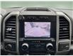 2019 Ford F-150  (Stk: 251598) in Kingston - Image 13 of 18